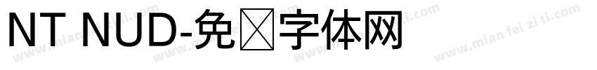 NT NUD字体转换